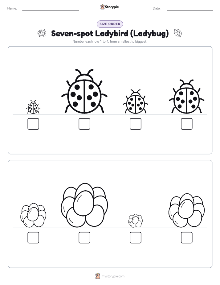 Size Order