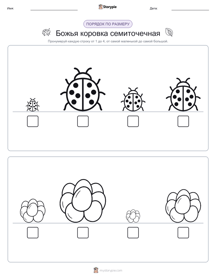 Размеры в порядке