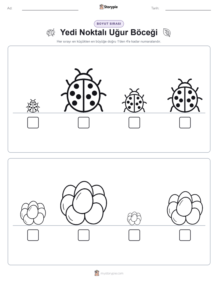 Boy Sıralaması