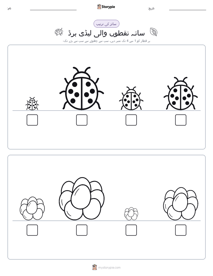 سائز کی ترتیب