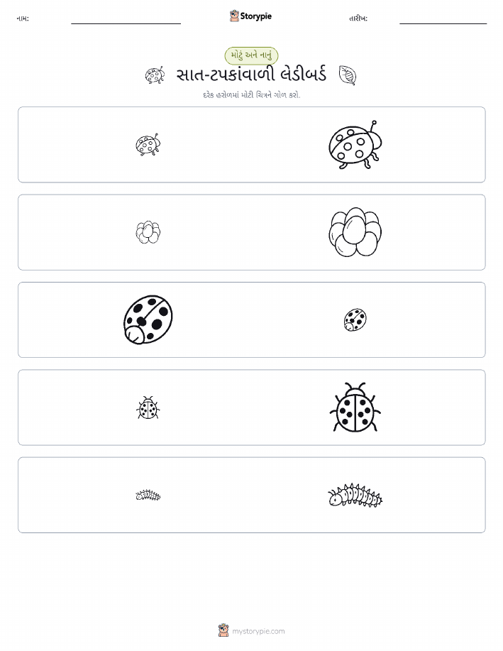 વર્ગીકરણ