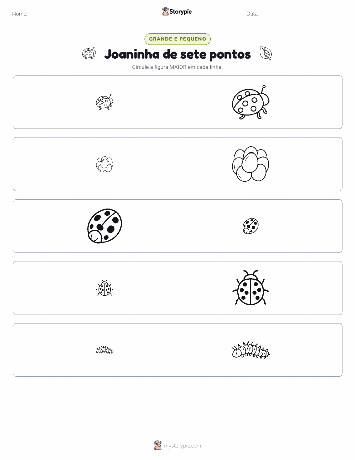 Classificação