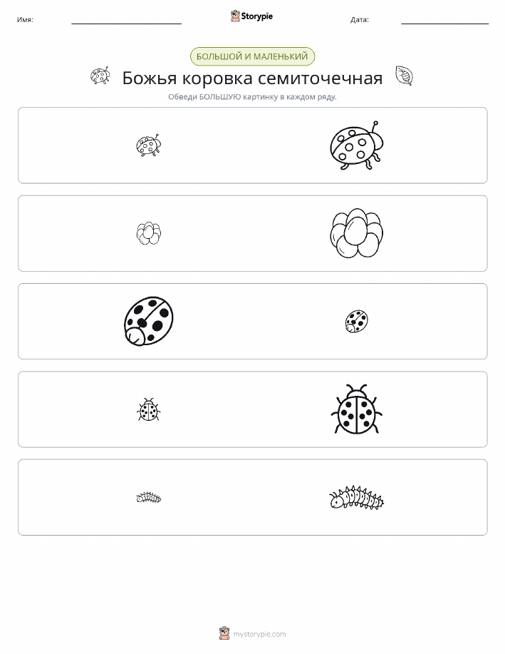 Сортировка