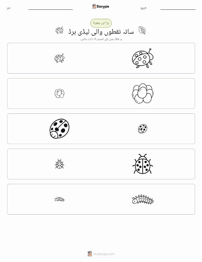ترتیب دینا