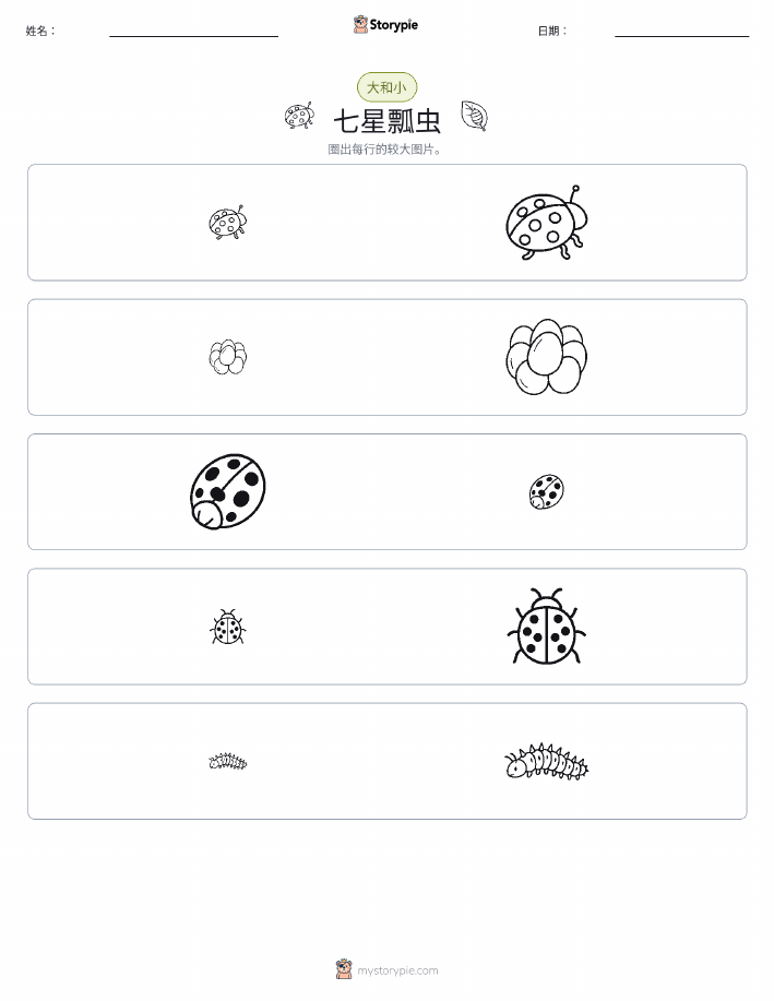 分类