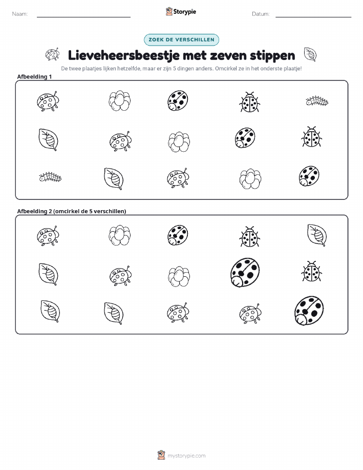 Vind het Verschil