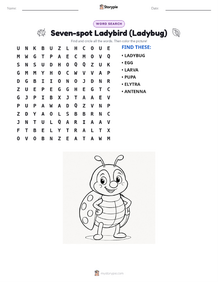 Word Search
