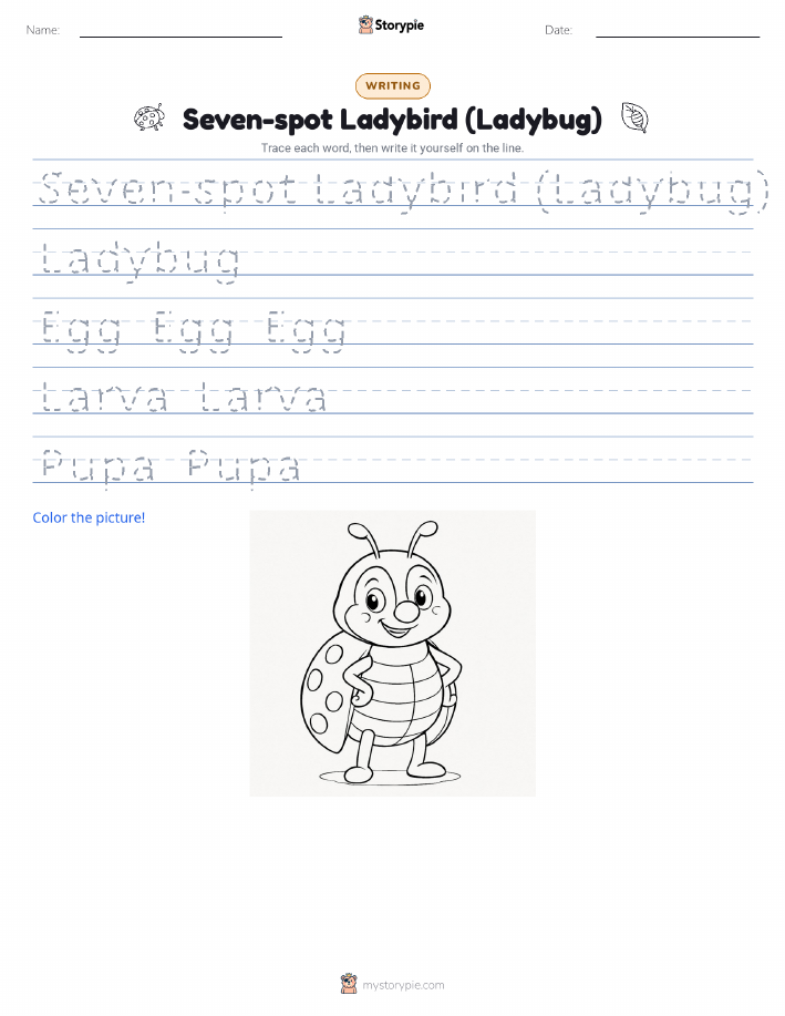Writing Practice