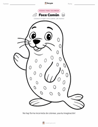 Página para colorear de Foca Común para niños