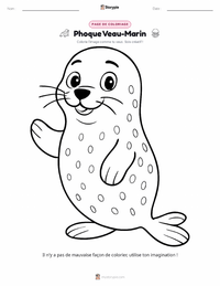 Page de coloriage Phoque commun pour les enfants