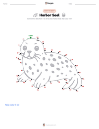 Harbor Seal printable worksheet preview