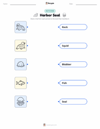 Harbor Seal printable worksheet for kids