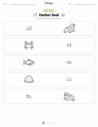 Harbor Seal printable worksheet preview