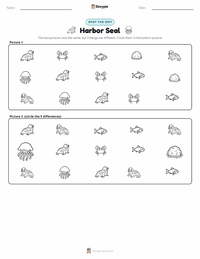 Harbor Seal printable worksheet preview