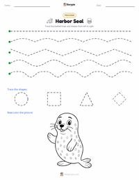 Harbor Seal printable worksheet preview