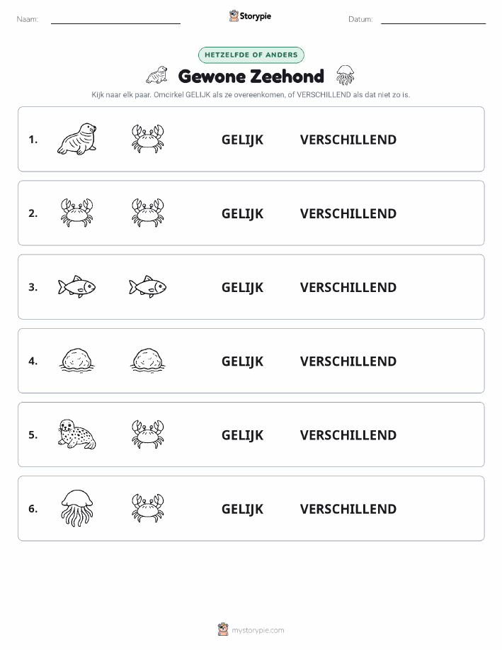Zelfde of Verschillend