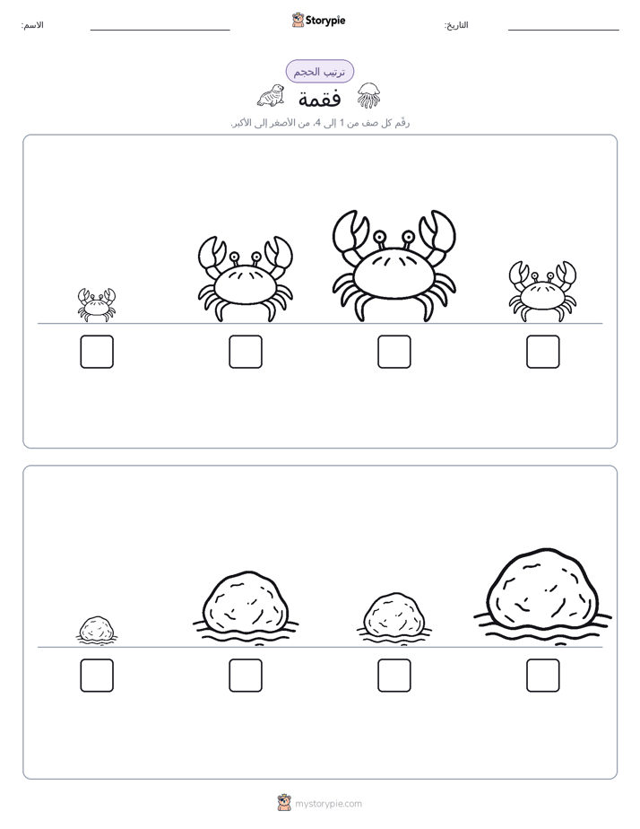 ترتيب الحجم