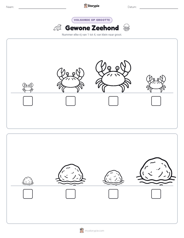 Grootte Volgorde