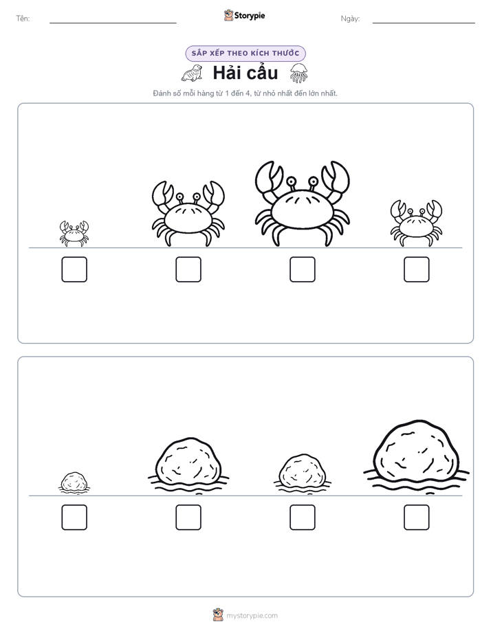 Thứ Tự Kích Thước