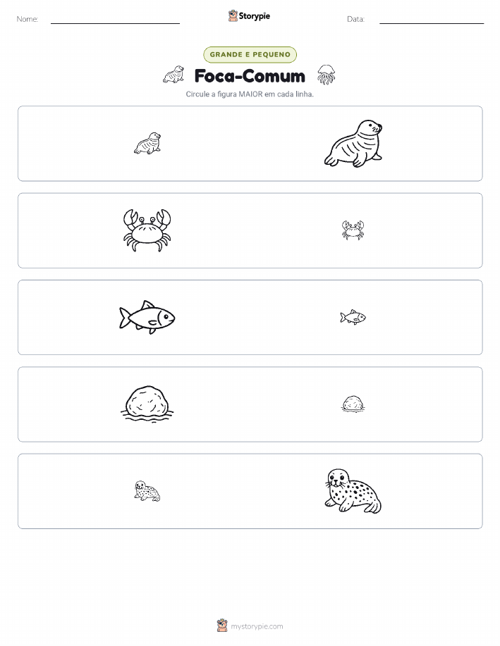 Classificação