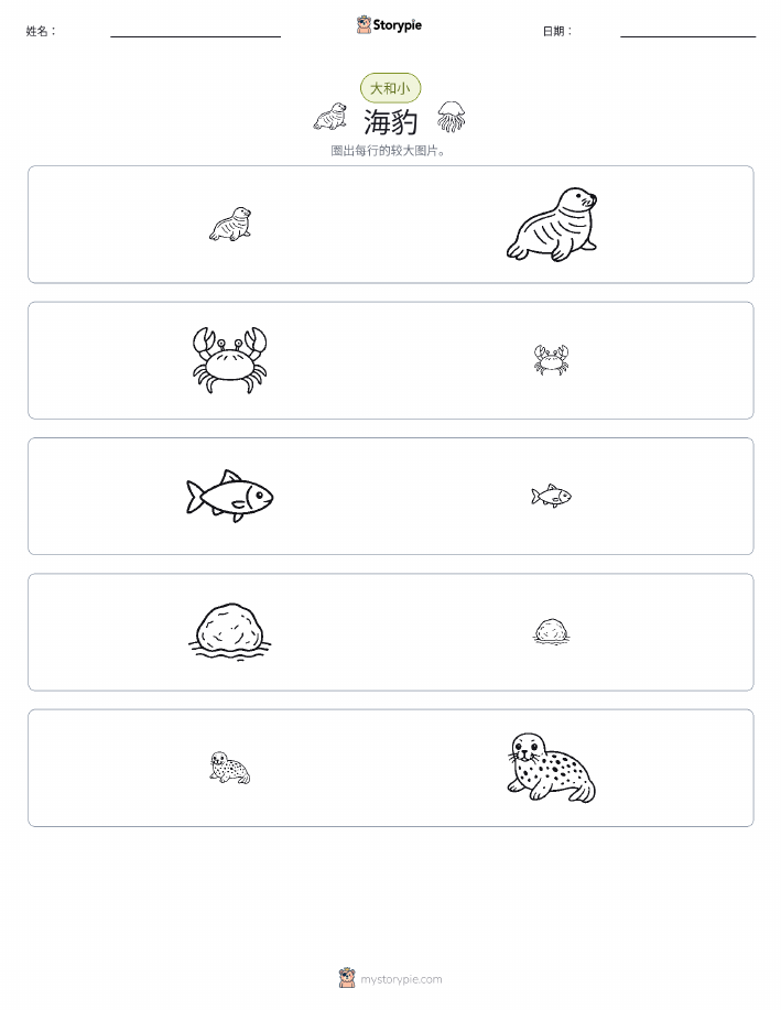 分类