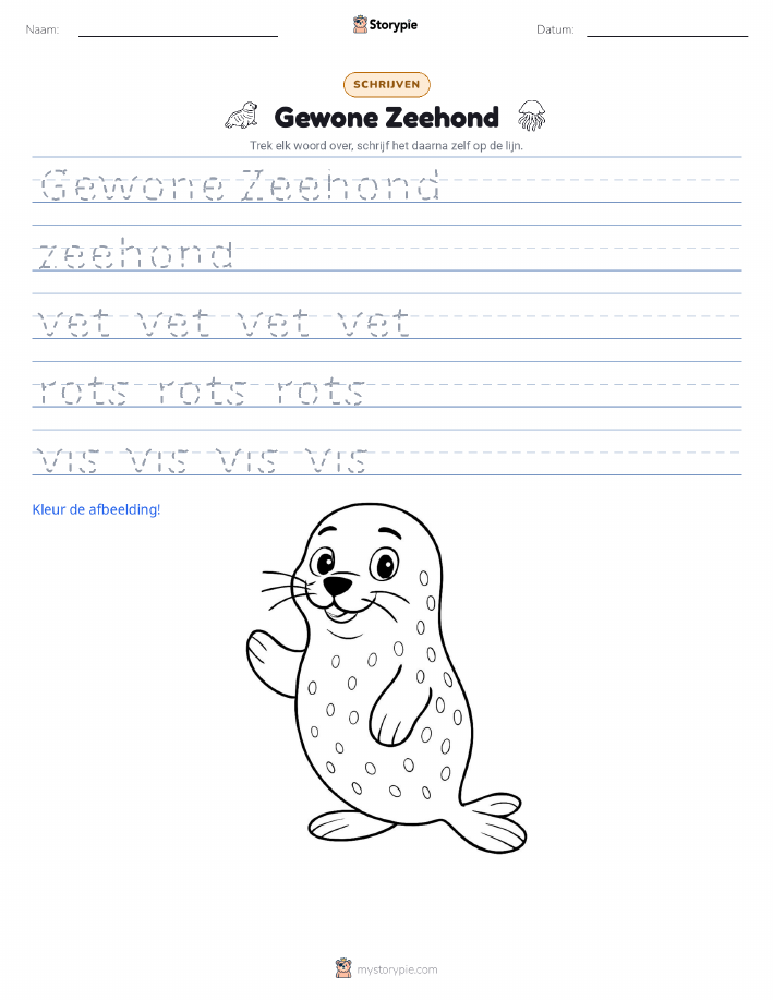 Schrijf Oefening