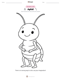 Aphid printable worksheet preview