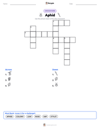 Aphid printable worksheet preview