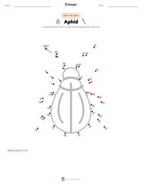 Aphid printable worksheet preview