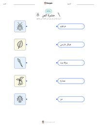 معاينة ورقة العمل القابلة للطباعة حشرة المن