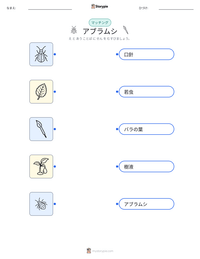 アブラムシ の印刷可能ワークシートプレビュー