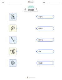 진딧물 인쇄 가능한 워크시트 미리보기