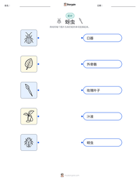 蚜虫 可打印工作表预览