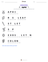 Aphid printable worksheet preview