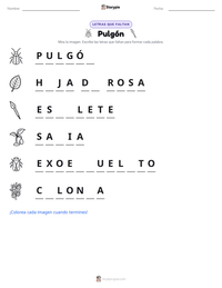 Vista previa de la hoja de trabajo imprimible de Pulgón