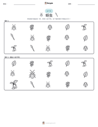 蚜虫 可打印工作表预览