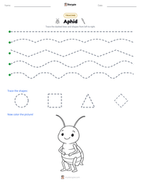 Aphid printable worksheet preview