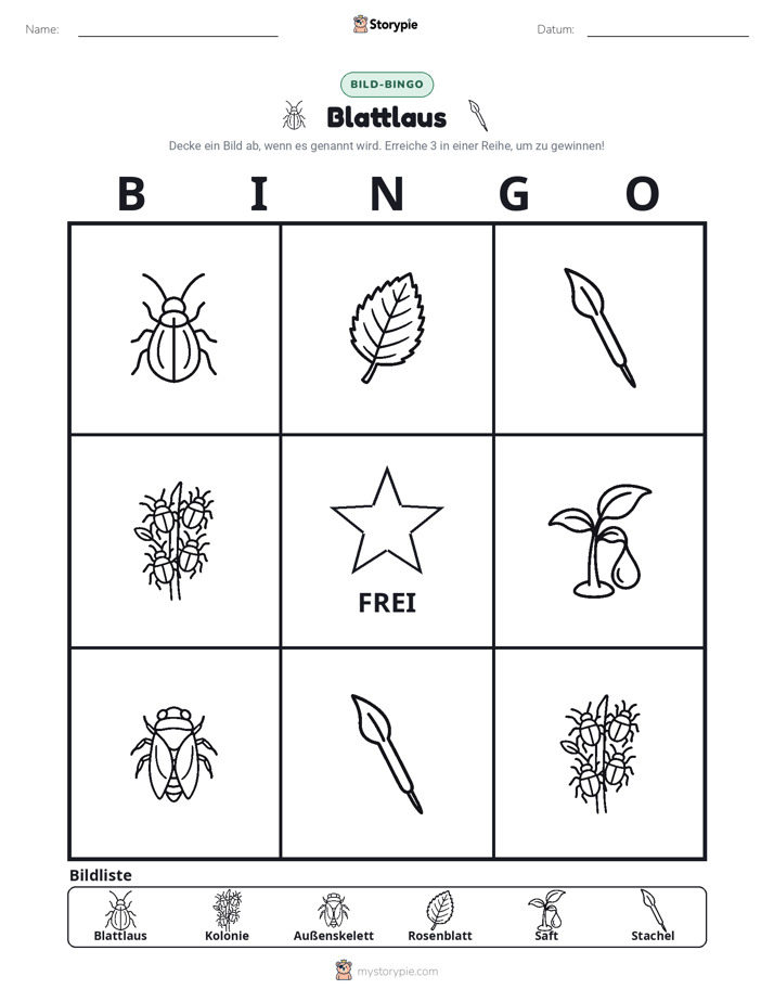 Bild-Bingo