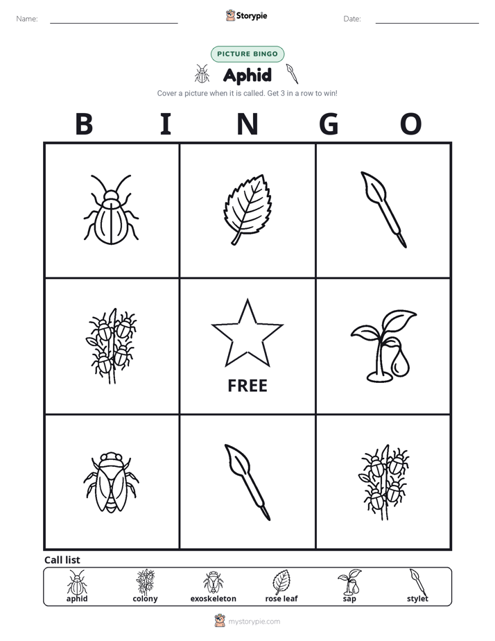 Picture Bingo