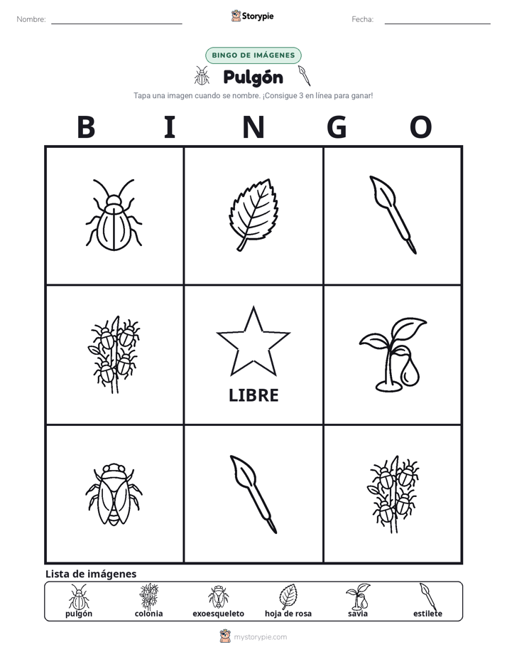 Bingo de Imágenes