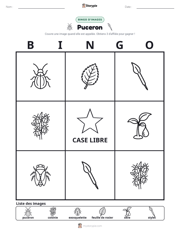 Bingo d'Images