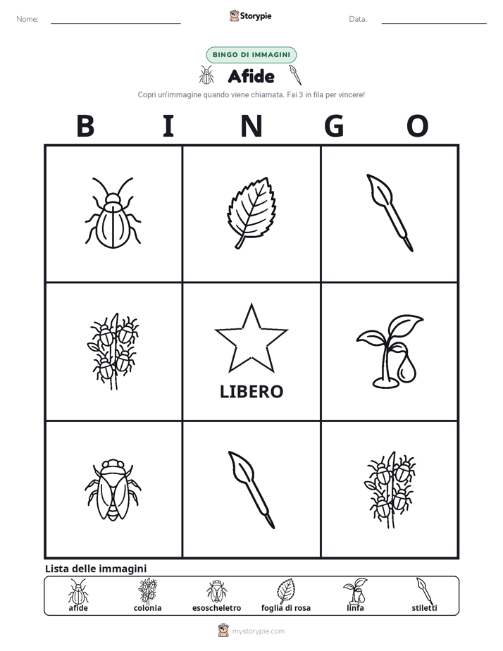 Bingo delle Immagini