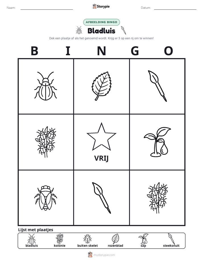 Afbeelding Bingo