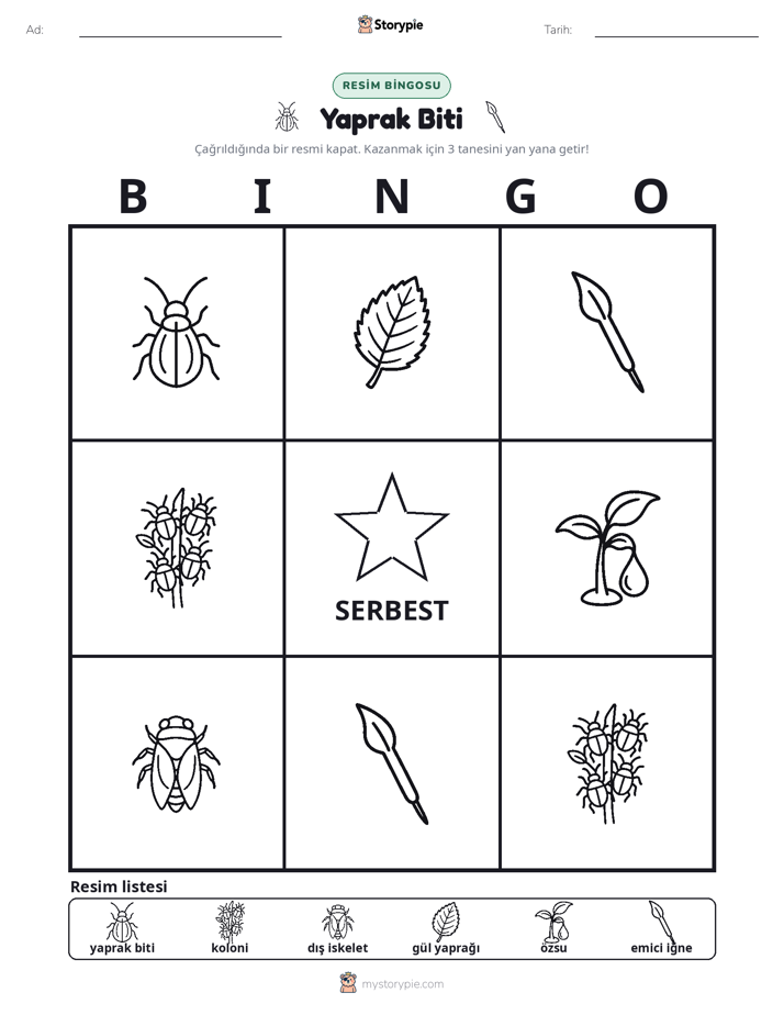 Resim Bingo