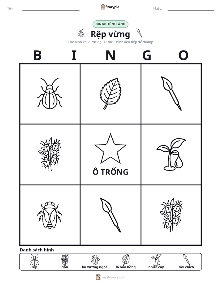 Bingo Hình Ảnh