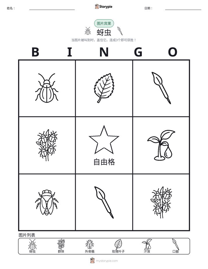 图片宾果