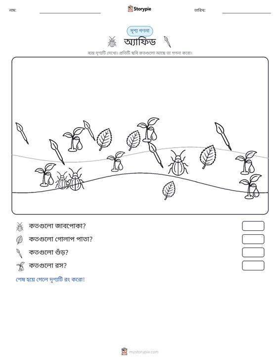 গণনা দৃশ্য