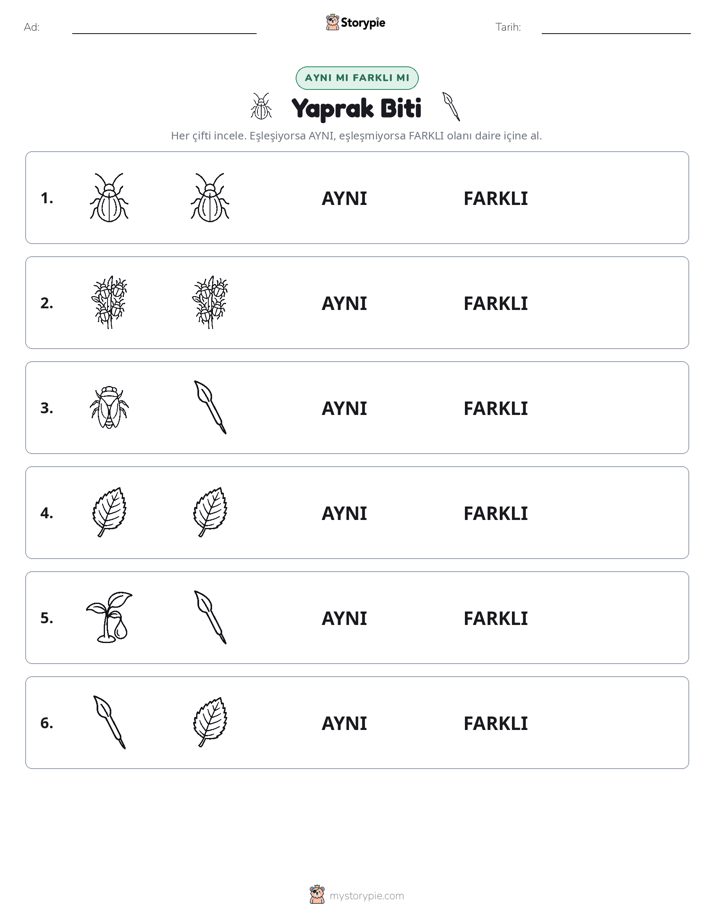 Aynı mı Farklı mı