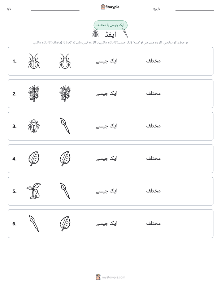 ایک جیسا یا مختلف