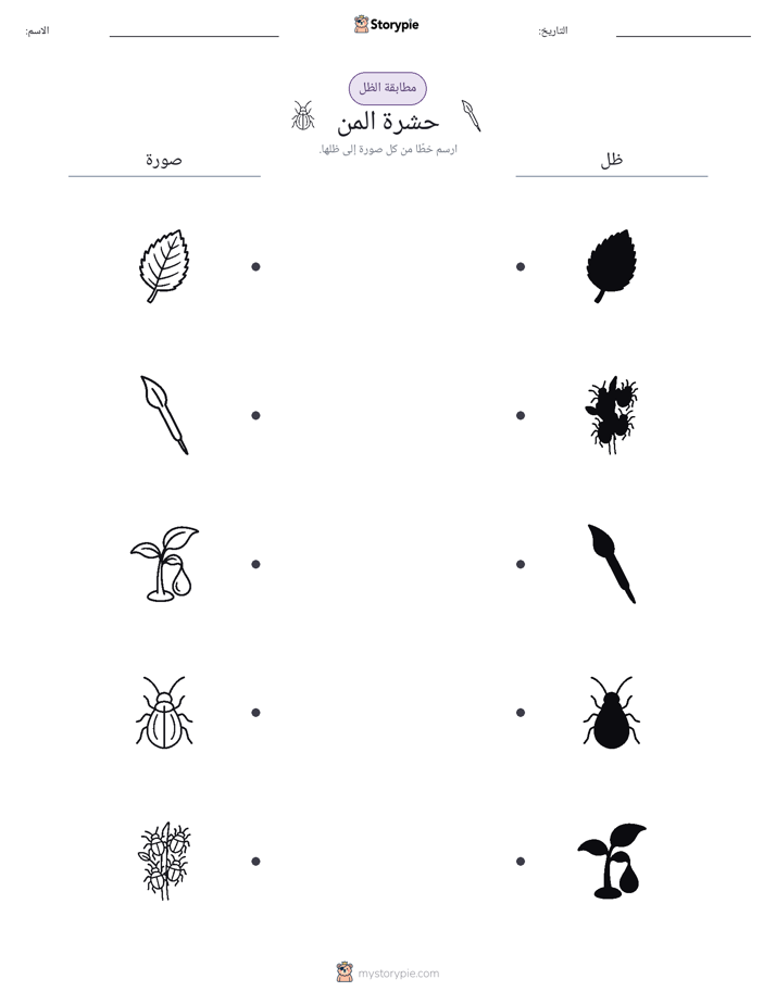 مطابقة الظل